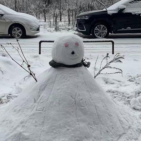 风雪送春归，飞雪迎春到