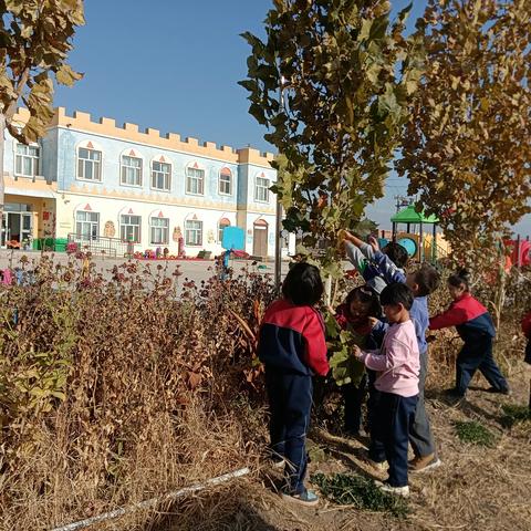 《秋天的树叶》—— 胜金乡英坎儿孜幼儿园大一班树叶粘贴画