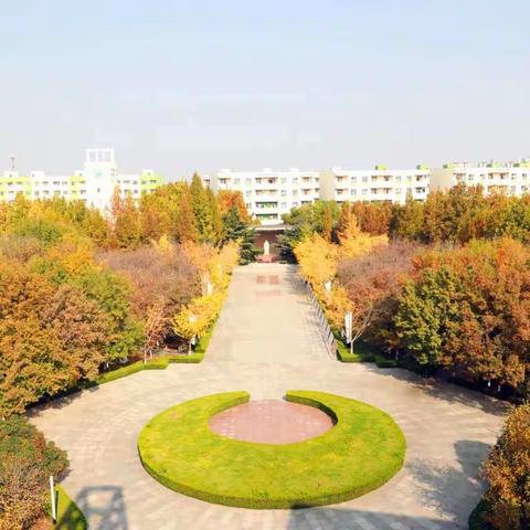 秣马厉兵行致远，砥砺奋进谱新篇——昌乐二中高一语文学科工作总结