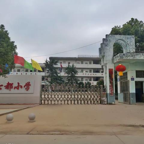 【七都小学】追求卓越，绽放精彩----七都小学语文优质阅读课竞赛