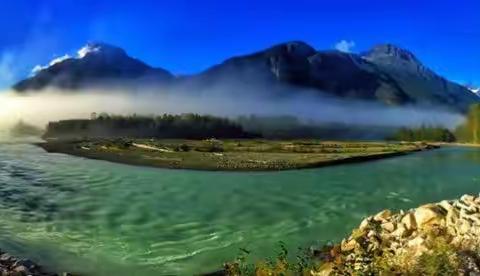 BC省大熊雨林观灰熊摄影探秘之旅（2020年9月15～21）