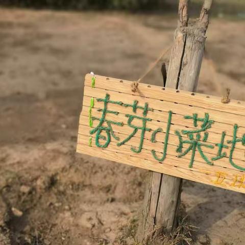 三月，我们有约！