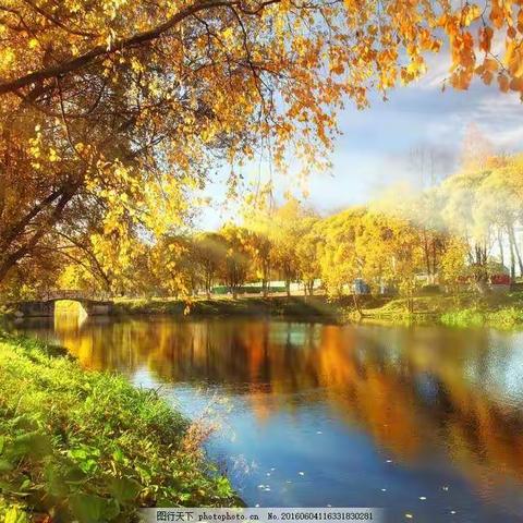 梦想起航  ——  许家湖镇小学英语优质课评选活动