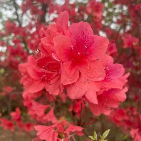 闽谚声律启蒙 九一六 塌对沉