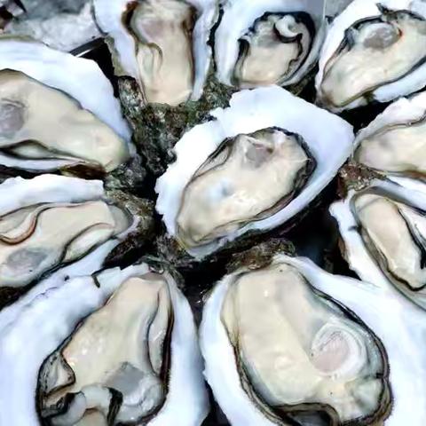 闽谚声律启蒙新注 九十三 式对形