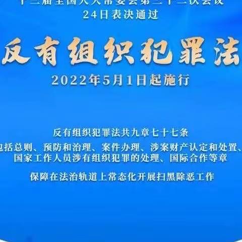 【和谐经开 智慧洋浦】扬正气 促和谐《反有组织犯罪法》普法宣传