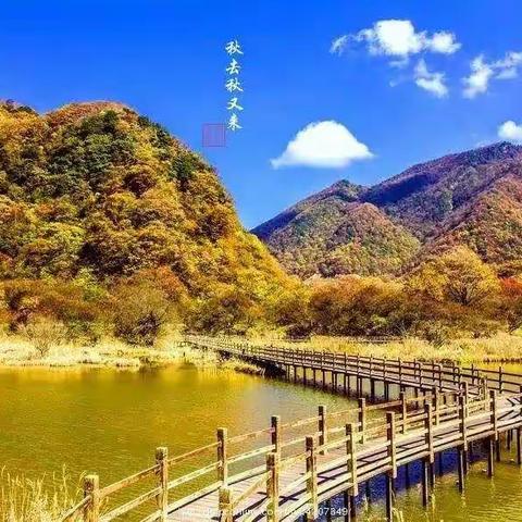 5月21日499元直达神农架~世界那么大爱上神农架~5A神农架6大核心景区三日游