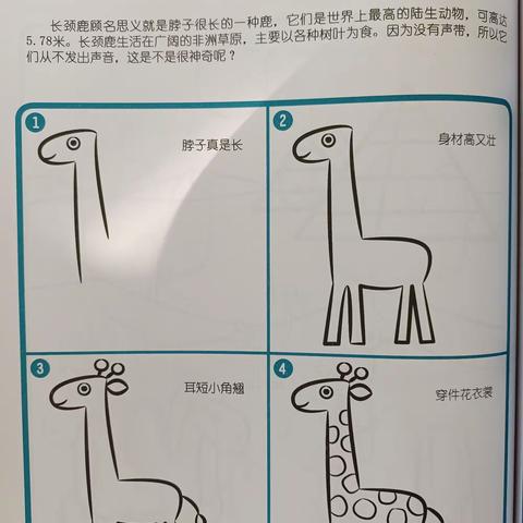 肥城市实验幼儿园桃李八班每周一画：长颈鹿，鲸鱼