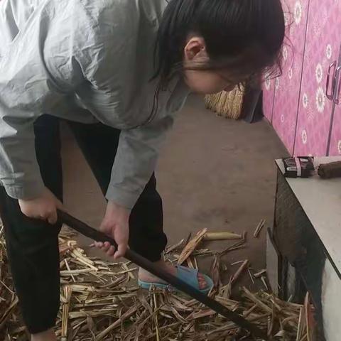 幸福一家的美篇