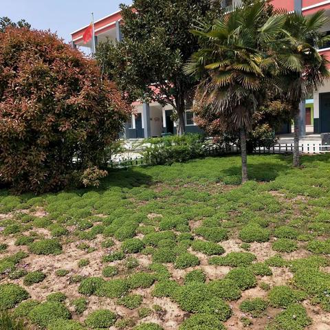 杜曲镇吕集小学招生开始了！