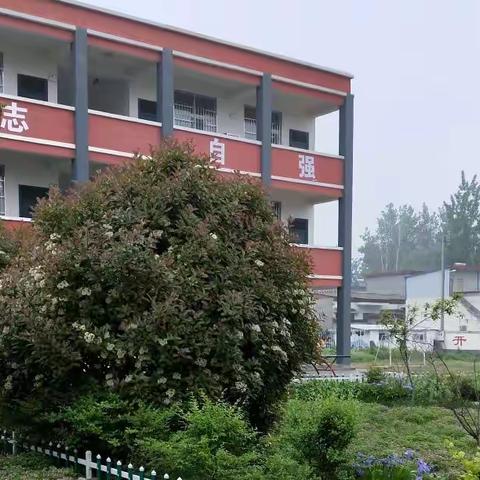 杜曲镇吕集小学招生开始了！