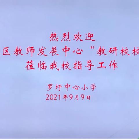 立足教研 减负提质——宿城区教师发展中心“教研校校行”莅临罗圩中心小学指导工作