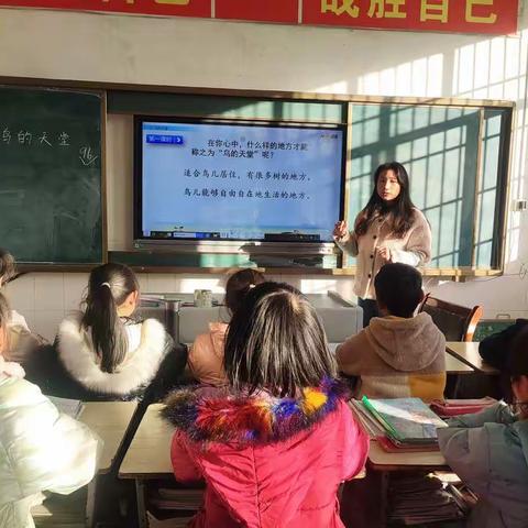 小沙江镇梅坪小学校本研修——《鸟的天堂》公开课