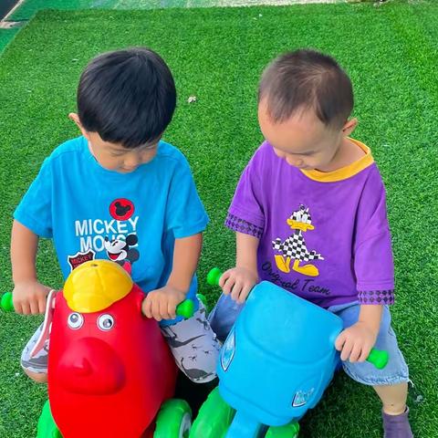 丫丫C美好的一天