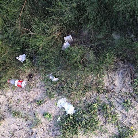 6月17日锦山镇开展海岸线专项行动自查整改美篇（王福荣）