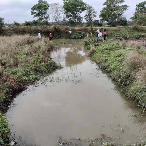 园堆村委会的美篇