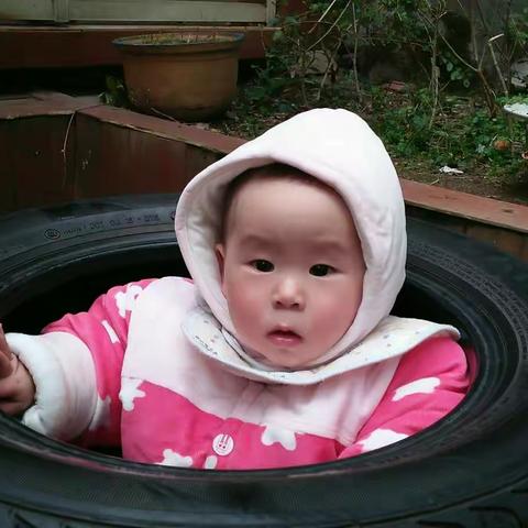 逗宝生活趣事小记