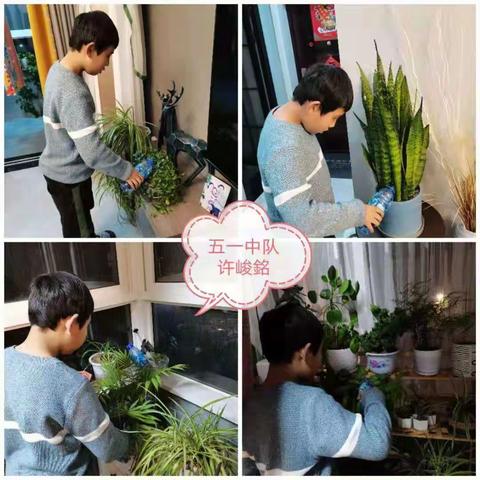 进校附小五年级无作业日，孩子们种植花草真快乐