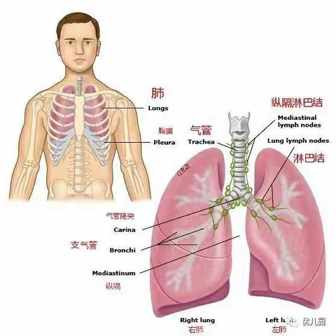 带你走进儿童支气管镜