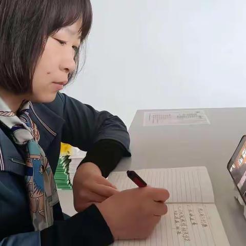 云端相约共成长  教研同行促提升