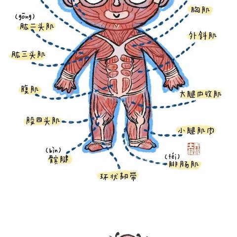 人体总论与饮料里的“小秘密”