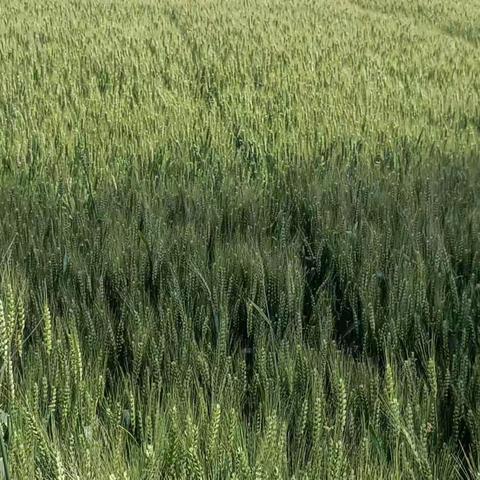 精彩的假期生活💗