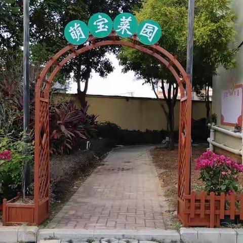 “走进小菜园 拥抱大自然”—蒲坂小学附设园菜园种植主题活动