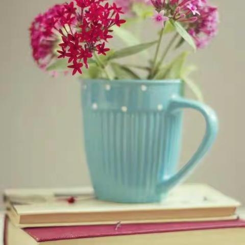 好习惯养成---《好习惯伴我成长》