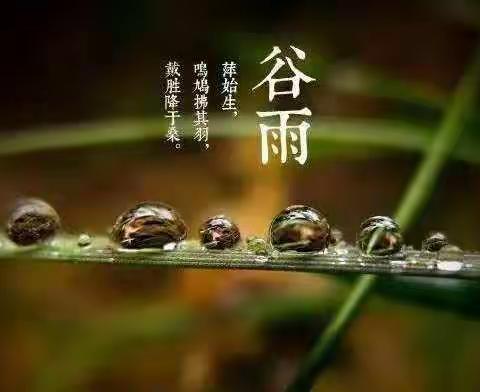 《最美暮春色，春雨生百谷》——二十四节气之“谷雨”