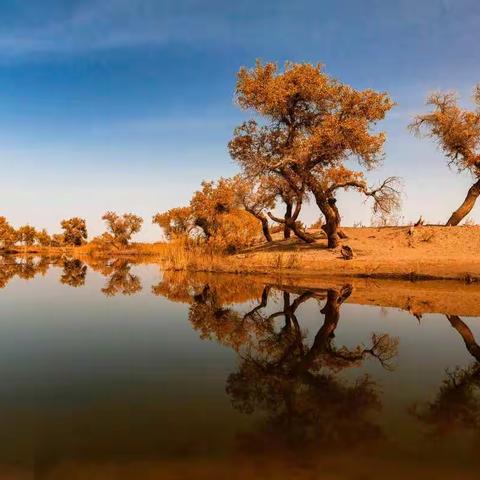 行摄南疆（一）