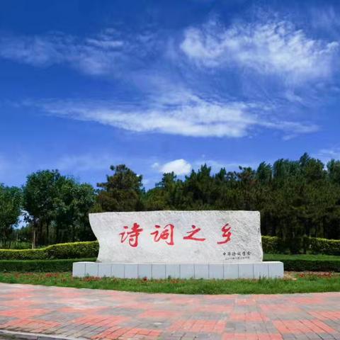 聚力赋能求发展   五美阜新画卷开