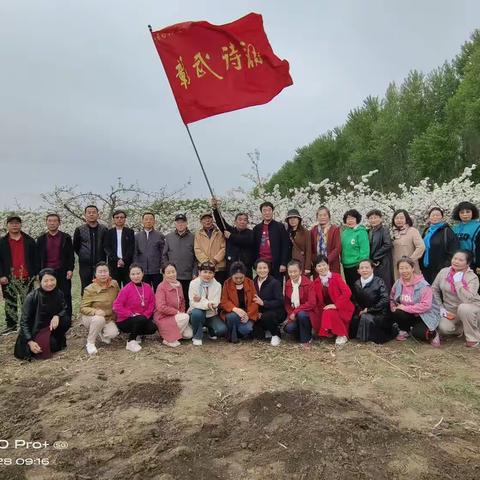 琼枝玉树含烟美，灵秀天姿带雨香