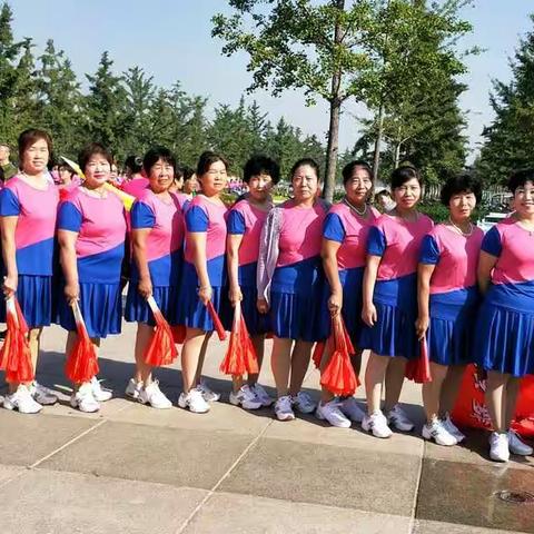 弘扬中华文化，促进国际交流，飞扬队加油！