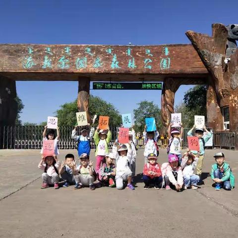 逻辑狗思维拓展训练营