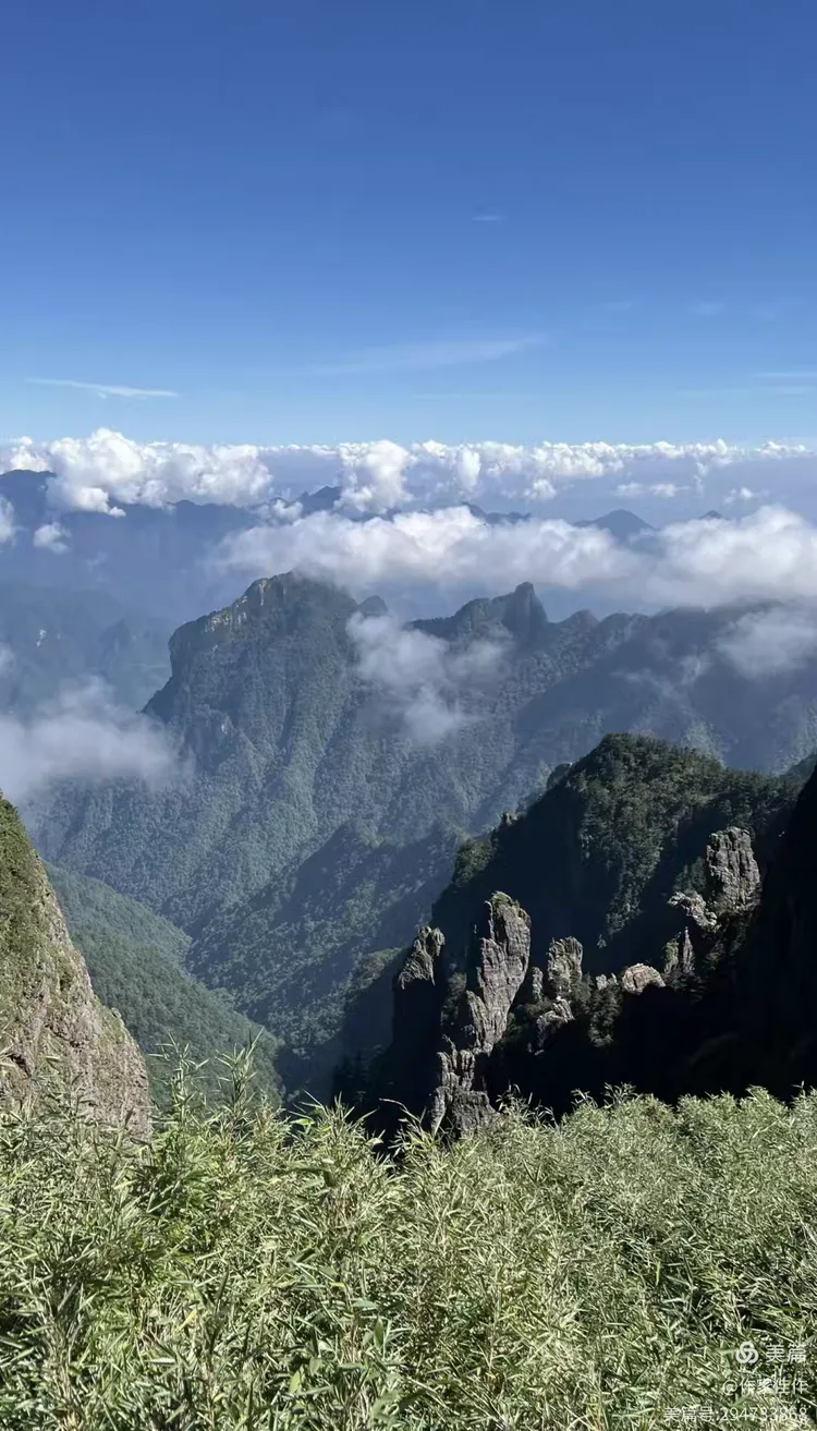 图片[2]-任启亮散文《走进神农架》78级同窗散文三人行113-华闻时空