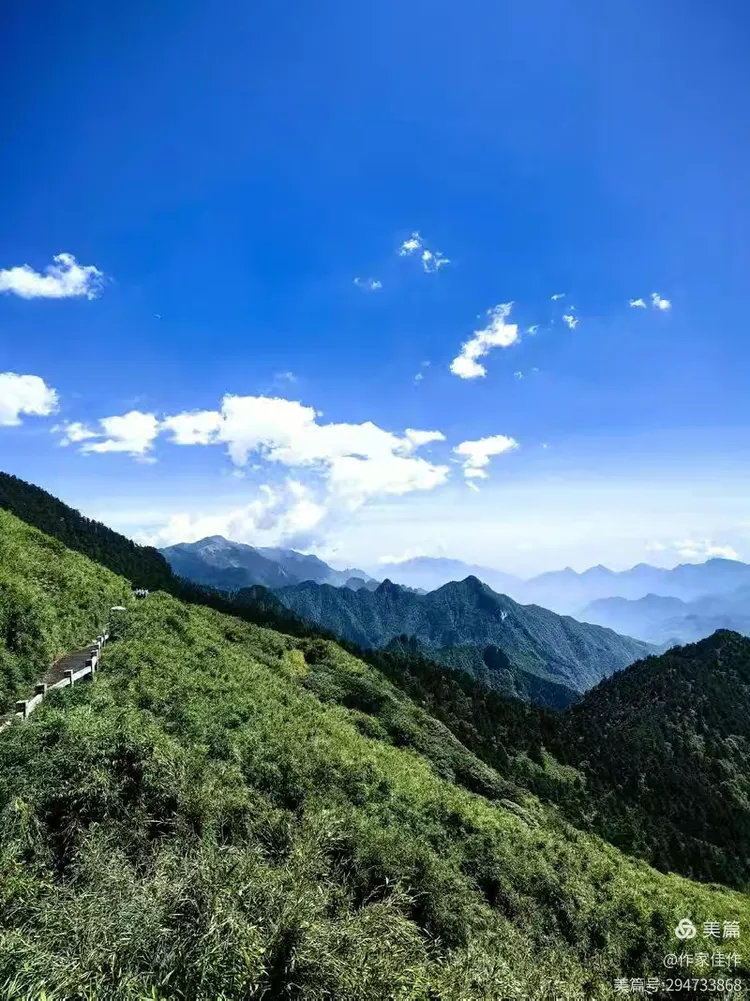 图片[5]-任启亮散文《走进神农架》78级同窗散文三人行113-华闻时空