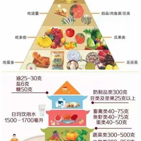 合理膳食，健康身体一苏武镇西湖小学营养健康科普知识宣传