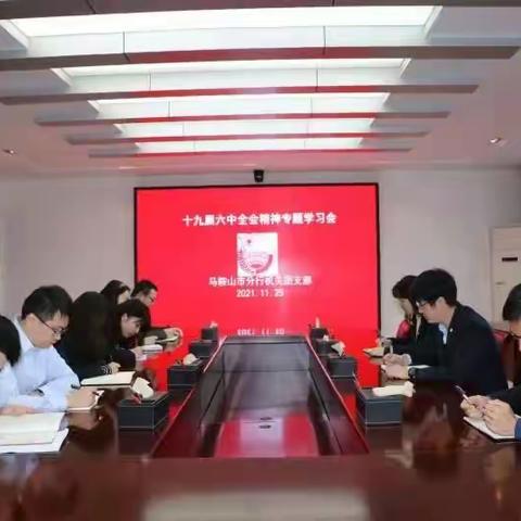 马鞍山青年员工学习十九届六中全会精神