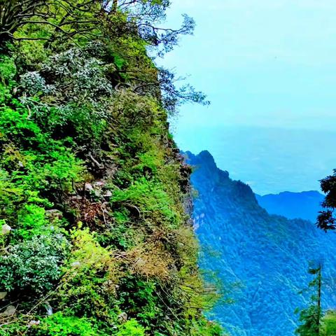 峨眉山随手拍