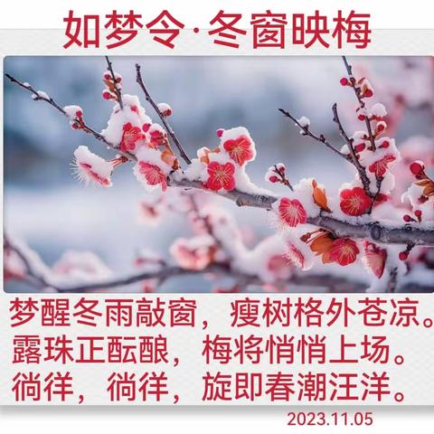 如梦令·冬窗映雪