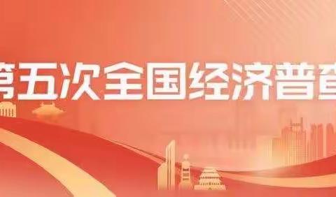 如实填报普查资料 真实反映经济全貌—河洛镇扎实推进第五次经济普查工作