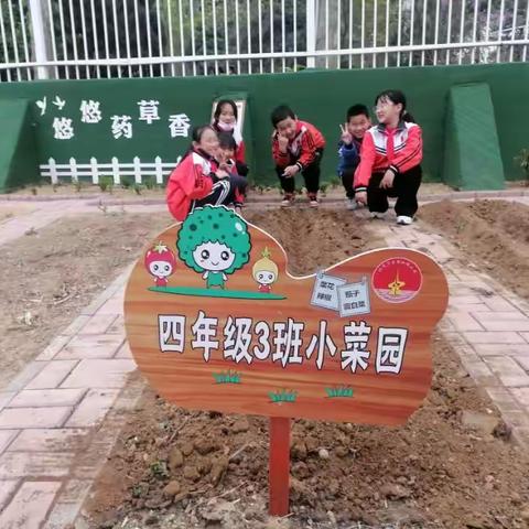 希望小菜园，播种希望