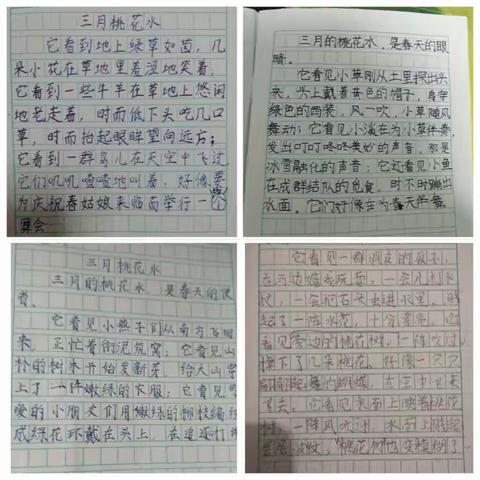 四年四班优秀练笔集锦