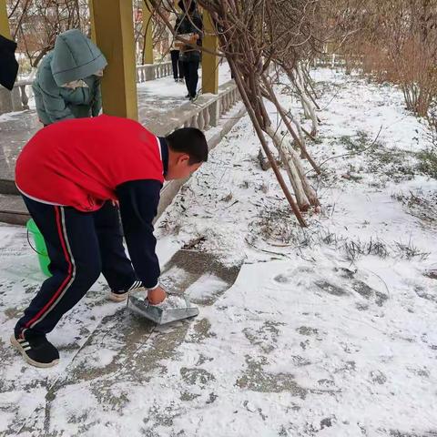 雪后的校园，我们班的同学们在打扫校园的积雪