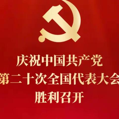 观看二十大，奋进新征程——苏武镇西湖小学新篇章