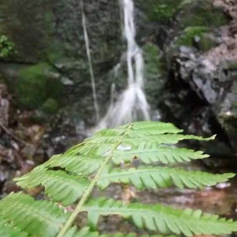 妩媚青山，潺潺绿水！