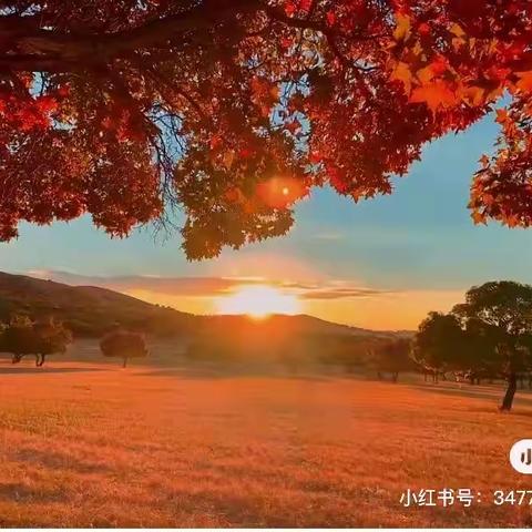 😍😍山友户外10月14~15日首发代钦塔拉五角🍁枫+高山台红叶+孝庄园+图什业图王府两日游动