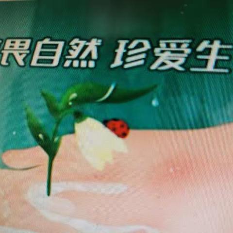 神井子小学“停课不停学，《生命教育》线上学习”