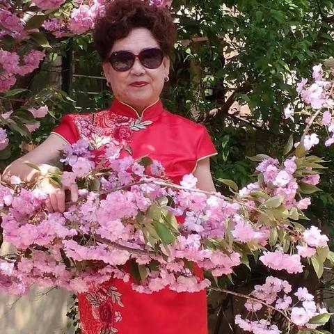 🌸花美景美人更美🌸