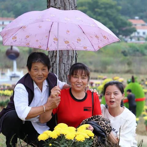 牡丹园里美如画~~~